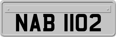 NAB1102