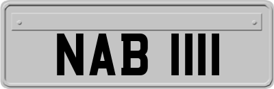 NAB1111