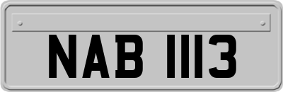 NAB1113