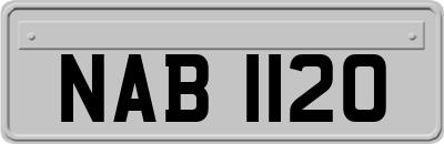 NAB1120