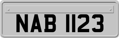 NAB1123