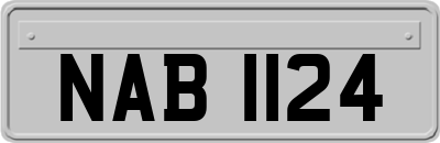 NAB1124