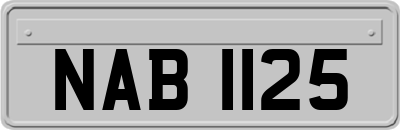 NAB1125