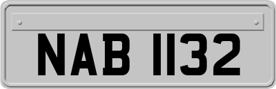 NAB1132