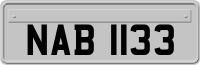 NAB1133