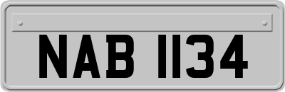 NAB1134