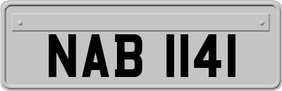 NAB1141