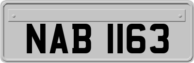 NAB1163