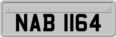 NAB1164