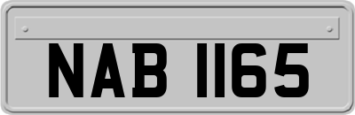 NAB1165