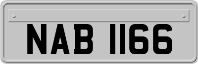 NAB1166