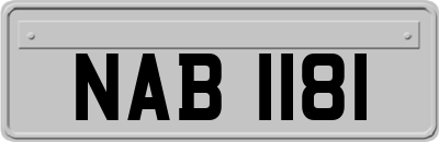 NAB1181