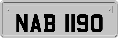 NAB1190