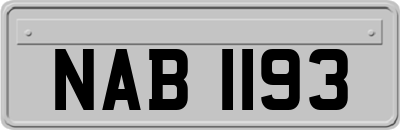 NAB1193