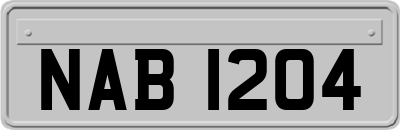 NAB1204