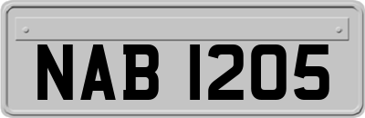 NAB1205