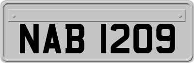 NAB1209