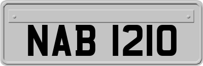 NAB1210