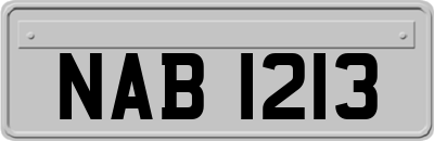 NAB1213