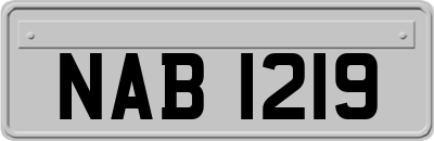 NAB1219