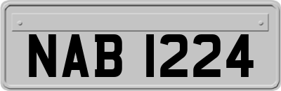 NAB1224