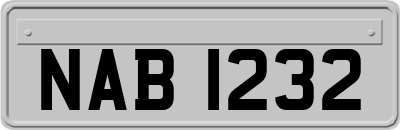 NAB1232