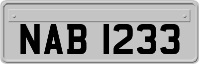 NAB1233