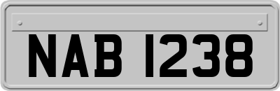 NAB1238