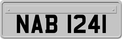 NAB1241