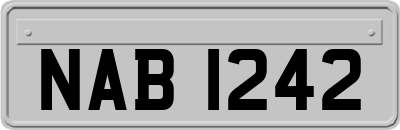 NAB1242