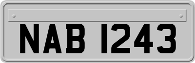 NAB1243