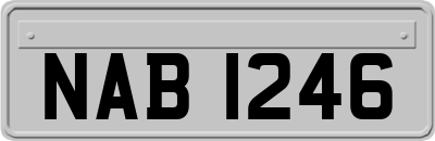 NAB1246