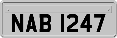 NAB1247