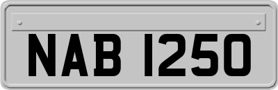 NAB1250