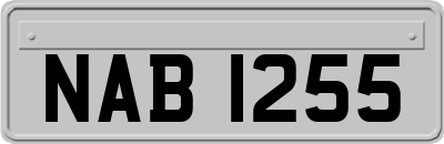 NAB1255