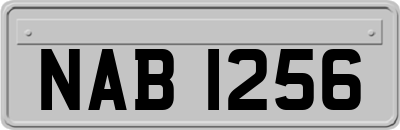 NAB1256