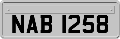 NAB1258