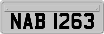 NAB1263