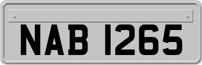 NAB1265