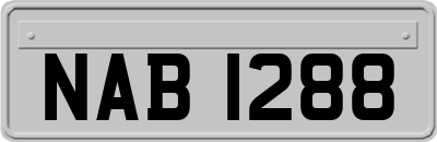 NAB1288