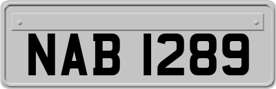 NAB1289