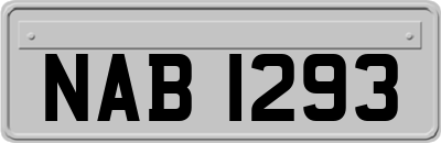 NAB1293