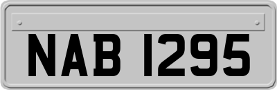 NAB1295