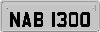 NAB1300