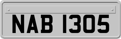 NAB1305