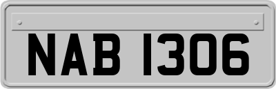 NAB1306