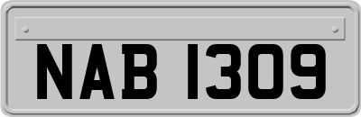 NAB1309