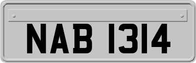 NAB1314