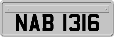 NAB1316