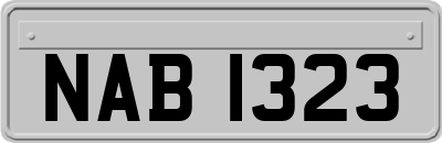 NAB1323